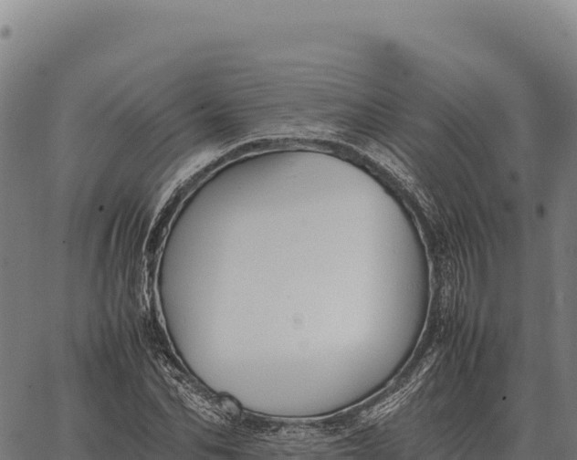 X0000066520974200603311750