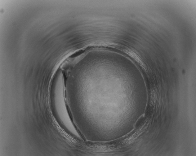 X0000066520976200603311750