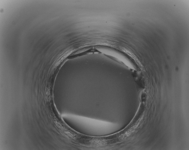 X0000066520977200603311750