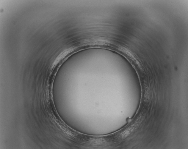 X0000066520978200603311750