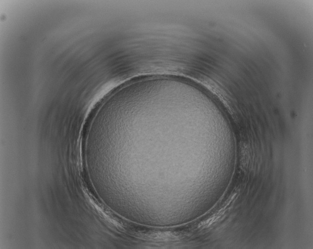 X0000066520982200603311750