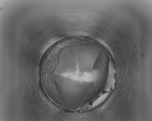 X0000066520983200603311750