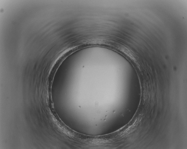 X0000066520984200603311750