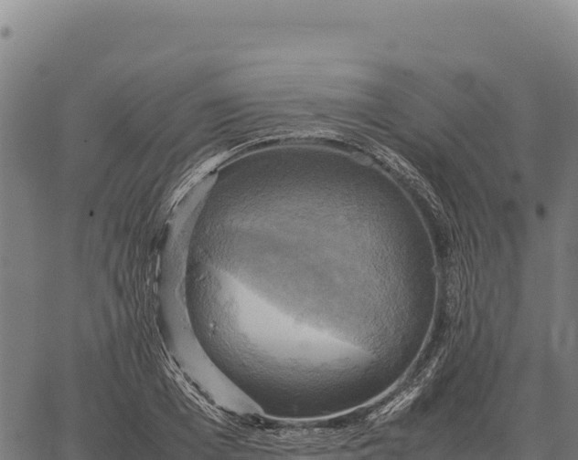 X0000066520985200603311750