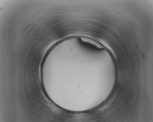 X0000066520988200603311750