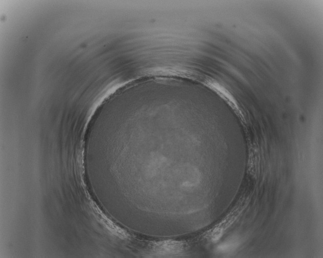 X0000066520992200603311750