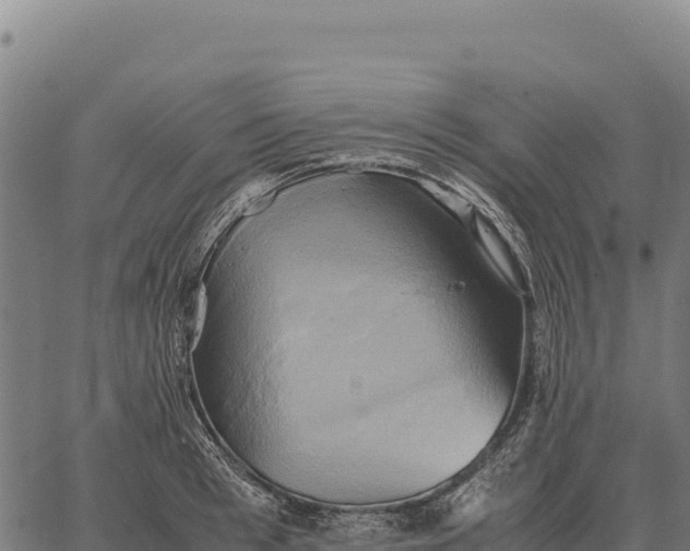 X0000066520993200603311750