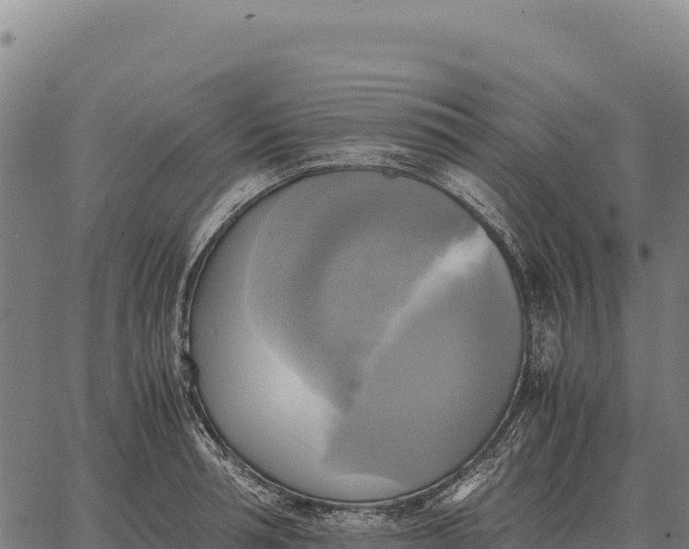 X0000066520994200603311750