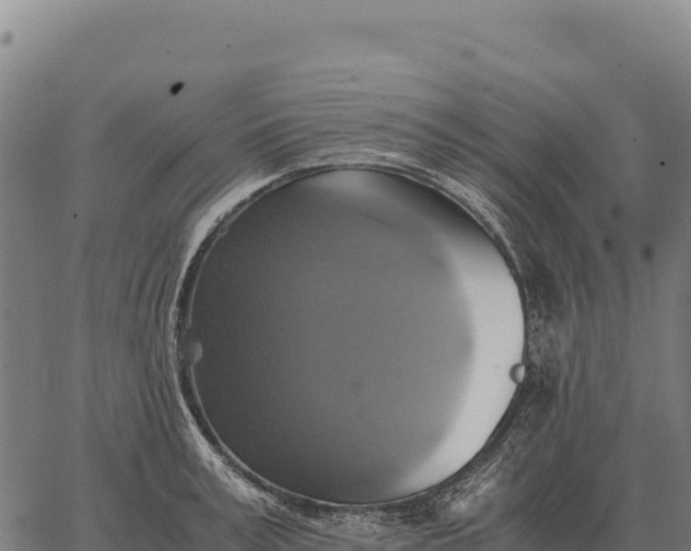 X0000066520995200603311750