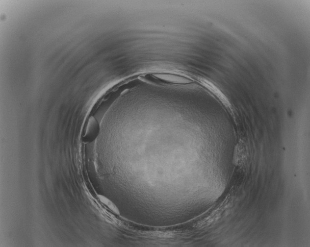 X0000066520996200603311750