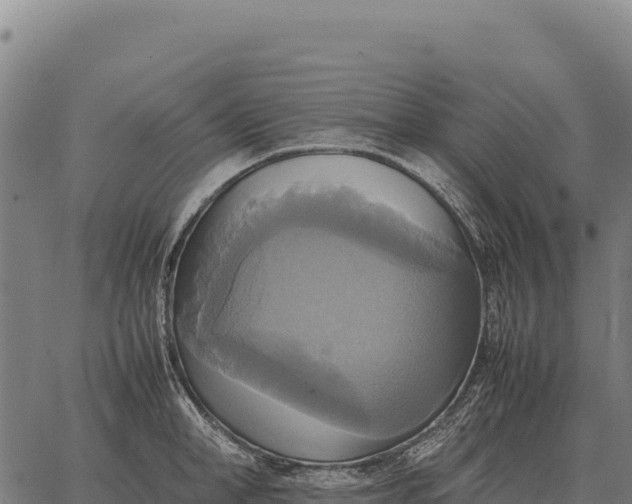 X0000066520998200603311750