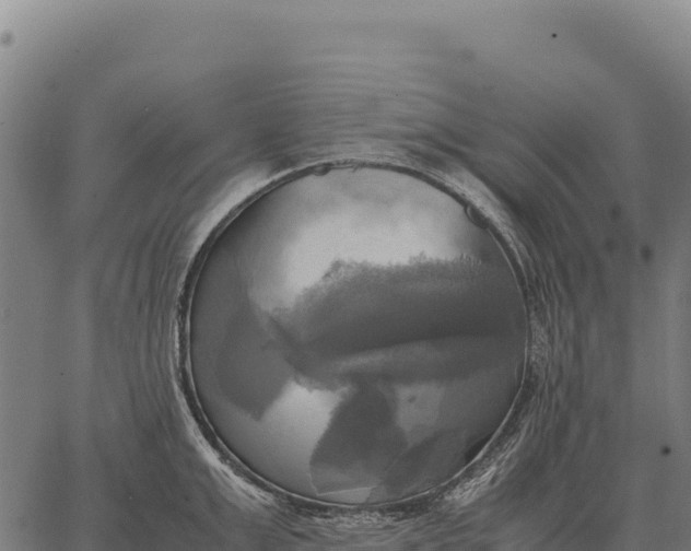 X0000066520999200603311750