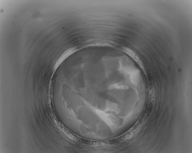 X0000066521002200603311750