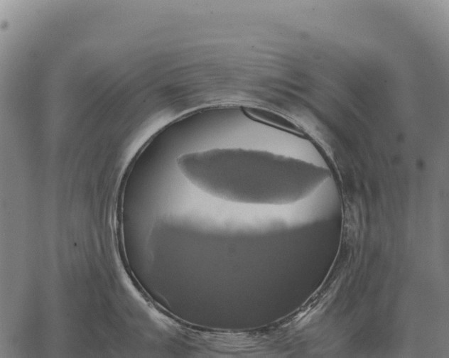 X0000066521007200603311750