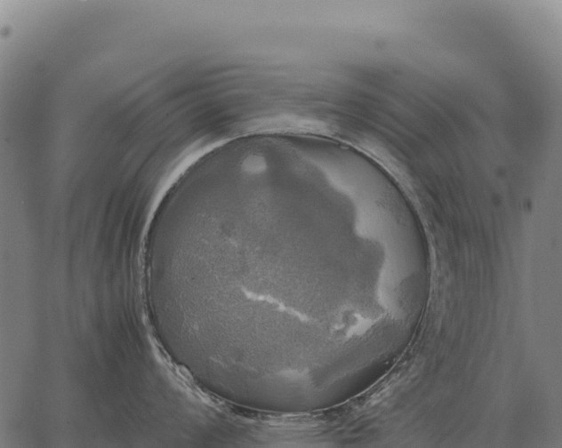 X0000066521008200603311750