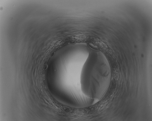 X0000066521009200603311749