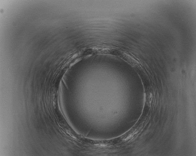 X0000066521010200603311749