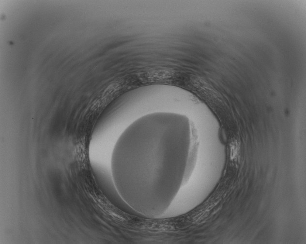 X0000066521011200603311749