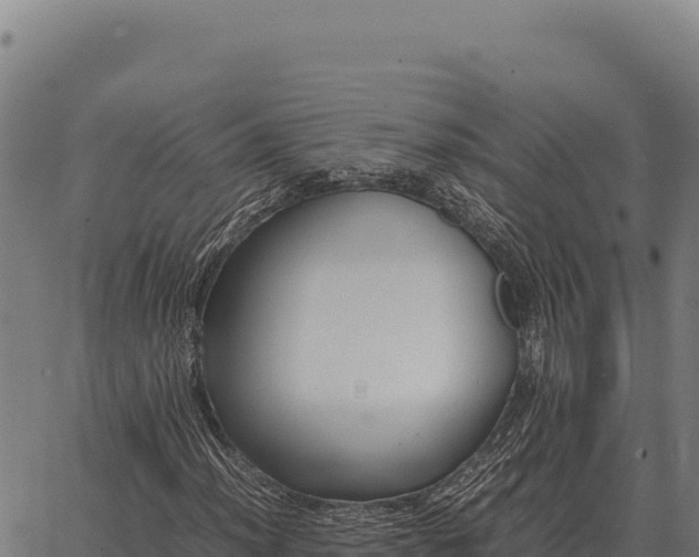 X0000066521012200603311749