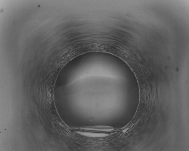 X0000066521013200603311749