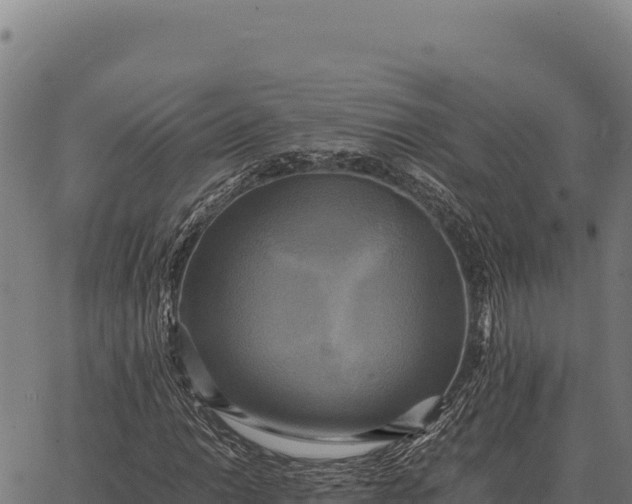 X0000066521014200603311749