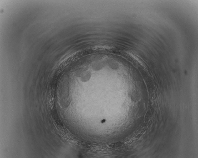 X0000066521015200603311749