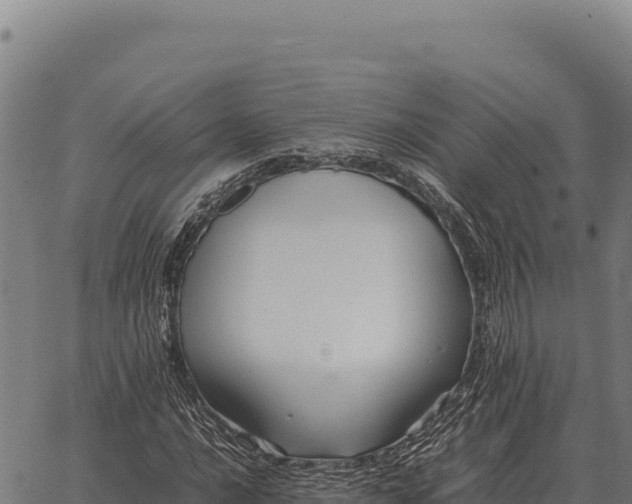 X0000066521016200603311749