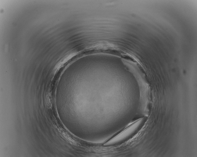 X0000066521018200603311749