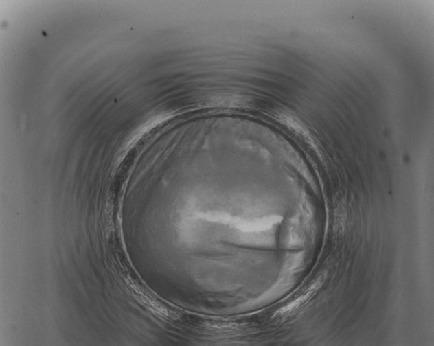 X0000066521019200603311749