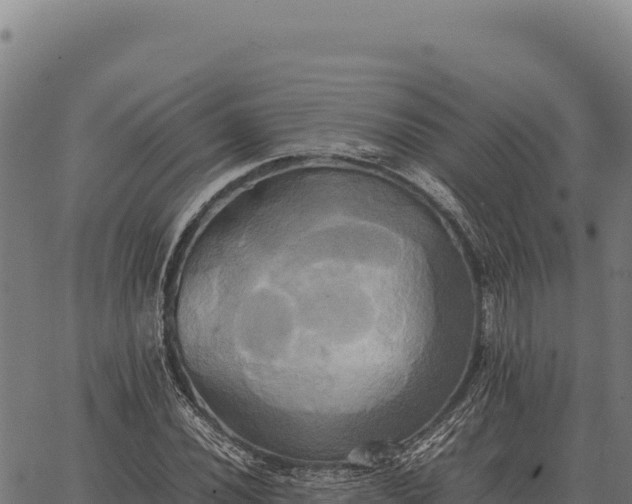 X0000066521020200603311749