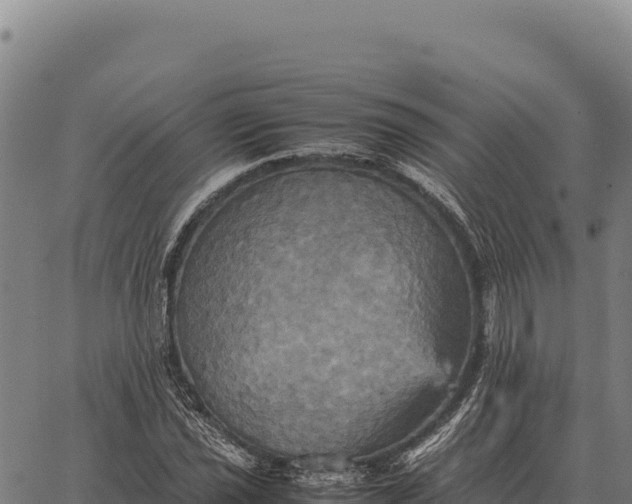 X0000066521021200603311749