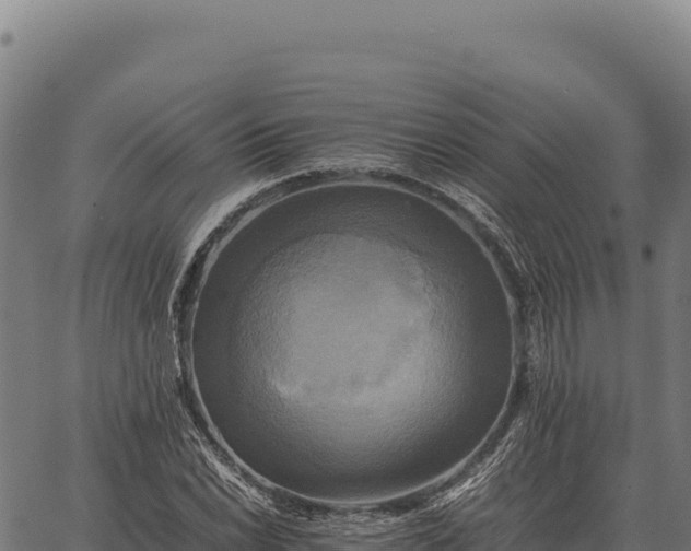 X0000066521022200603311749