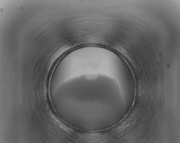 X0000066521024200603311749