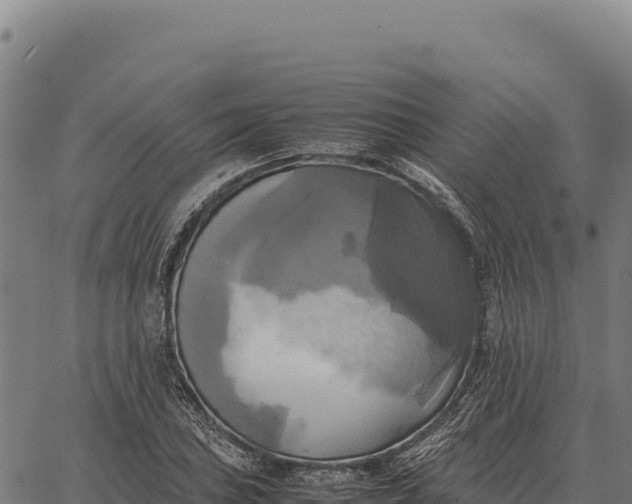 X0000066521027200603311749