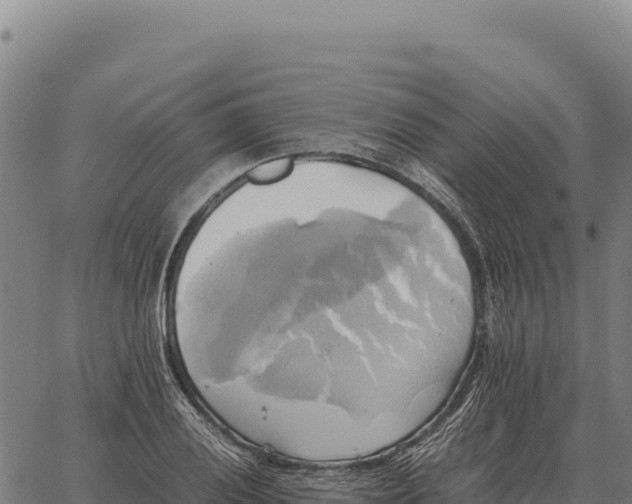 X0000066521028200603311749