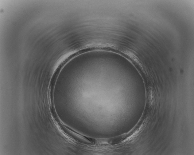 X0000066521030200603311749