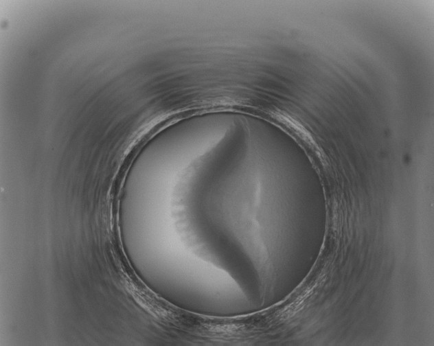 X0000066521031200603311749