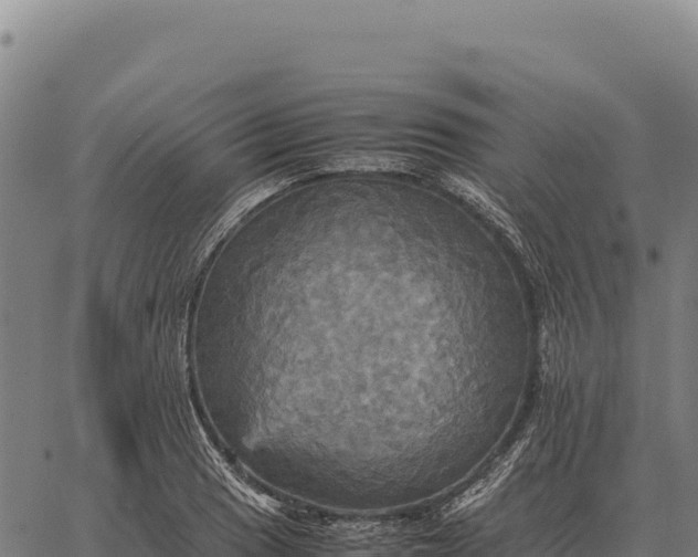 X0000066521033200603311749