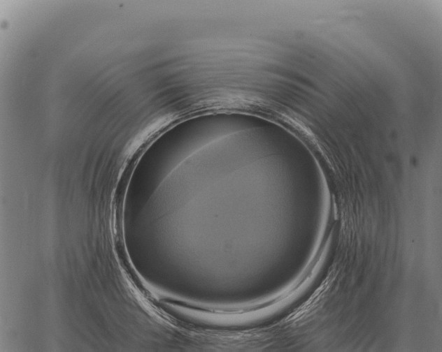 X0000066521034200603311749