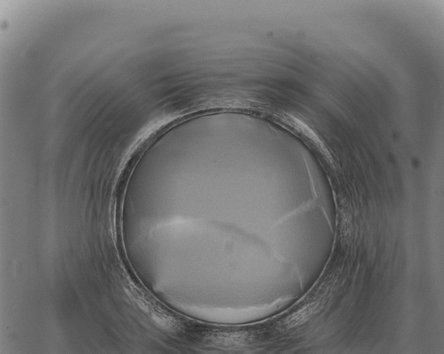 X0000066521035200603311749