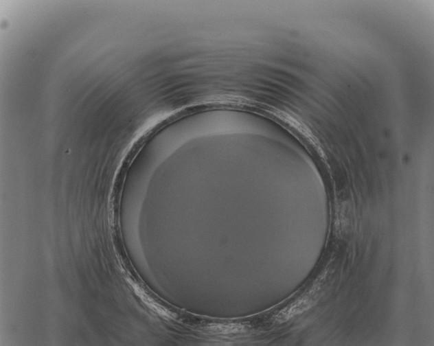 X0000066521037200603311749