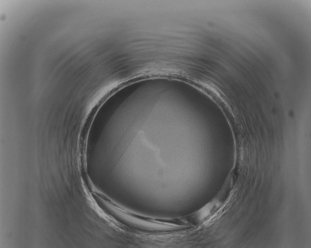 X0000066521038200603311749