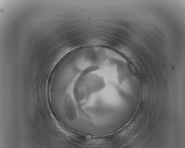 X0000066521039200603311749