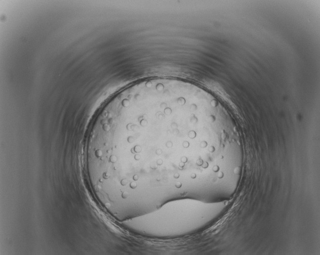 X0000066521040200603311749