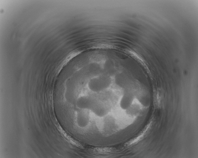 X0000066521041200603311749