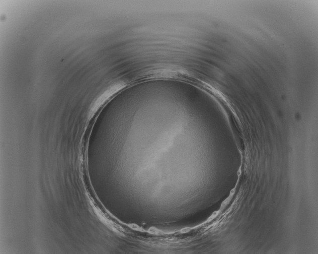 X0000066521042200603311749