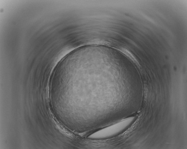 X0000066521044200603311749