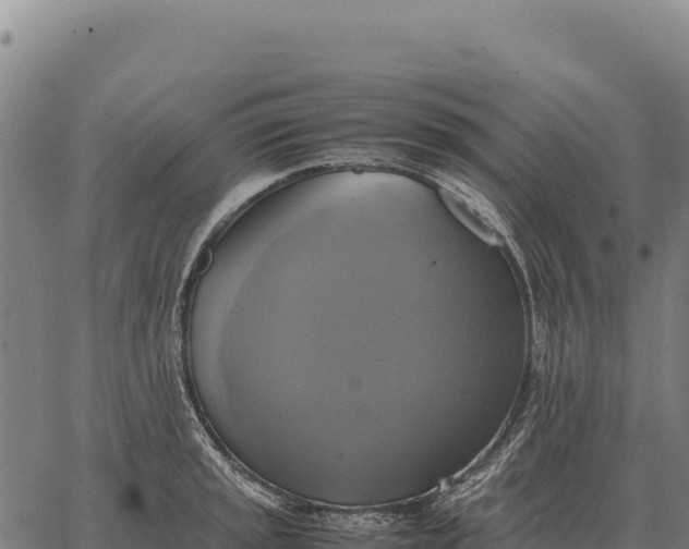 X0000066521045200603311749