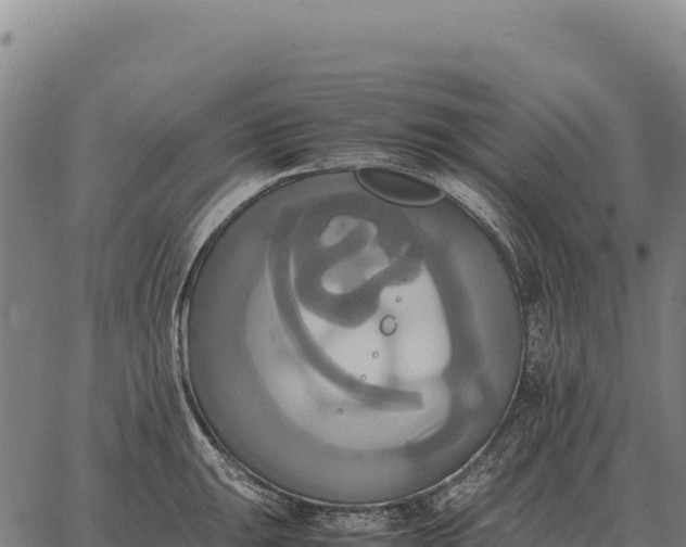 X0000066521047200603311749