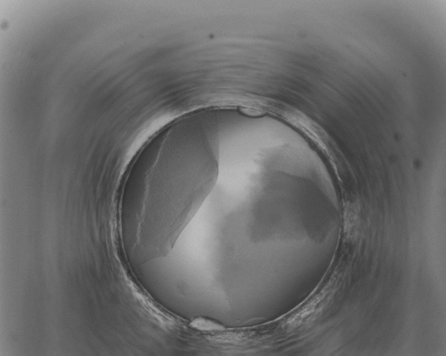 X0000066521048200603311749